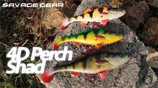 0001_Savage_Gear_4D_Perch_Shad_Slow_Sink_12_5_cm_[Zinkend]_[Savage_Gear].jpg